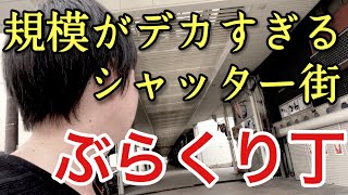 和歌山にある巨大なシャッター街・ぶらくり丁に行ってみたら・・意外な状況でした