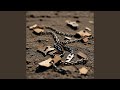 Like a Broken Prayer
