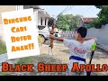 BUSUR PANAH BAREBOW UNTUK ANAK || BLACKSHEEP APOLLO ARROW EASTON TRIBUTTE