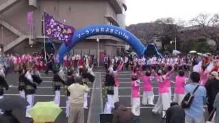 ソーラン山北よさこいフェスティバル２０１５－総踊り