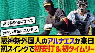 阪神新外国人のアルナエスが、来日初スイングで初安打＆初タイムリー　【ネットの反応】【反応集】