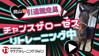 【引退馬】チャンスザローゼス【岡山でリトレーニング中】