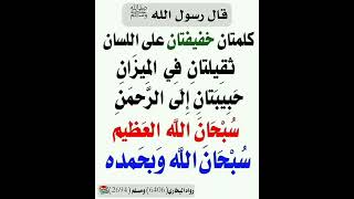 كلمتان خفيفتان على اللسان ثقيلتان في الميزان حبيبتان إلى الرحمن سبحان الله العظيم و سبحان الله و ..●