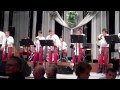 blaskapelle dh fialenka hodonin musikantenball muzikantský ples 2011