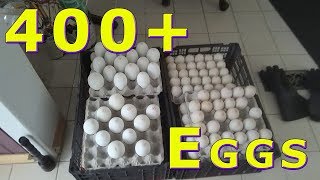 400+ Egg Donation Food Bank January 29, 2019