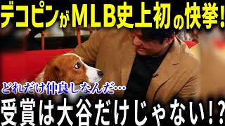 祝！デコピンが初受賞！大谷翔平の愛犬デコピンがMLB史上初の快挙！「どれだけ仲良しなんだ...」米国で異例の特集も！【MLB／野球／大谷翔平/海外の反応/メジャー/犬】