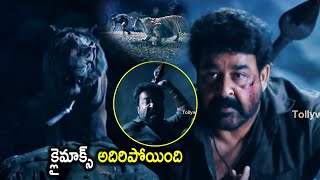 Mohanlal Telugu Blockbuster Climax Tiger Fight Scene | Tiger Scenes |  Tollywood Talkies