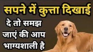 सपने में कुत्ता देखना, Sapne Mein Kutta Dekhna, seeing dog in dreams By dream guru