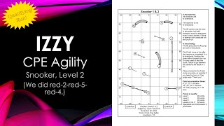 Izzy - CPE Agility - Snooker, Level 2 - 2022.11.26