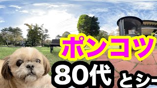 80代の両親とシーズー犬を連れてポンコツ嫌や旅【エンゼルフォレスト那須】