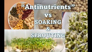 Soaking and Sprouting: The secret to unlocking nutrients in grains and seeds