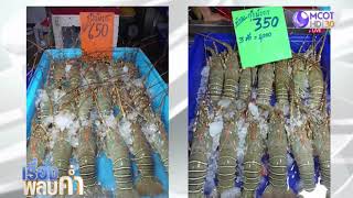 อึ้ง! กุ้งมังกรตัวละ 100 บาท