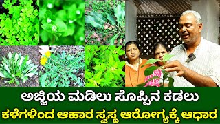 ಕಳೆಗಳಿಂದ ಆಹಾರ | ಅಜ್ಜಿಯ ಮಡಿಲು ಸೊಪ್ಪಿನ ಕಡಲು | Wild Edible Plants | Food From Weeds Is Good For Health