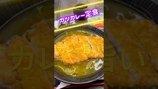 マンチカン　カツカレー丼定食を手打ちうどんの店芭蕉さんでいただきました♪ シャバシャバカレーが旨い😋　ご馳走様　　　　　　　　　　　　　　#グルメ #うどん#ランチ#cat