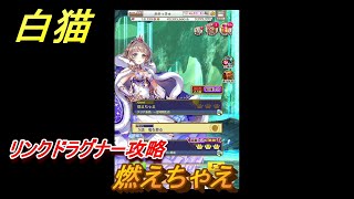 白猫　リンクドラグナー攻略　燃えちゃえ　９周年EP２　ガチャキャラ　エクセリア（ドラグナー）ゲオルグ（ドラグナー）エクセリア（鎖剣）　＃１０　【白猫プロジェクト】