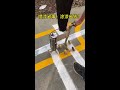 striping spray machine from china 涂漆划线机省钱，喷漆划线机省事？