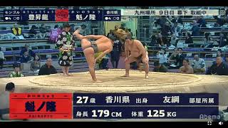 Hoshoryu 豊昇龍 v Kainoryu Sumo 19 November 2018 Day 9