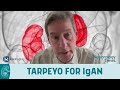 TARPEYO Reduces the Loss of Kidney Function in IgA Nephropathy