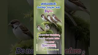 పచ్చిక గల చోట్ల పరుండ జెసితివే#hossana Telugu Christian song #viral#youtube #short#