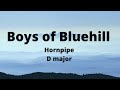 Learn Boys of Bluehill Hornpipe on the Tin Whistle