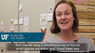 Why Science? Butterfly Researchers