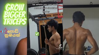 How to grow bigger triceps muscle අතේ මාංශ පේශි වර්ධනය ඉක්මන් කරන ක්‍රමයක්