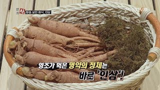 쿠키건강TV 한의사 3회 '왕을 살린 음식, 인삼'