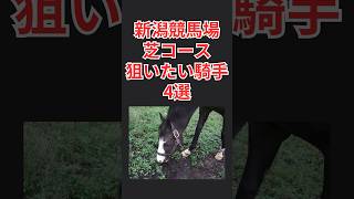 【騎手データ】新潟競馬場芝コースで狙いたい騎手 4選 （アイビスサマーダッシュ、関屋記念、新潟記念、新潟2歳Sの攻略）   #shorts #競馬 #アイビスサマーダッシュ