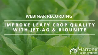 Improve Leafy Crop Quality w/ Jet-Ag® & a BioUnite™ IPM Program