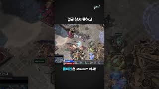 결국 참지 못하고 #shorts #GSL #아프리카이스포츠