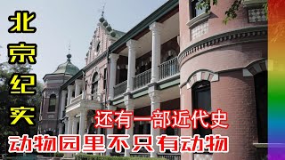 逛北京动物园:国人只知道这里有动物了,被遗忘的历史,儿时的记忆不再【北同】