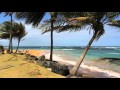 What causes wind?