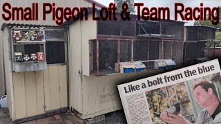 Racing Pigeons To Small Lofts | Small loft Design That Works