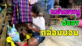 วันวานในความทรงจำความน่ารักของตุลา : ดูดนมแม่นม อมไว้จนหลับ