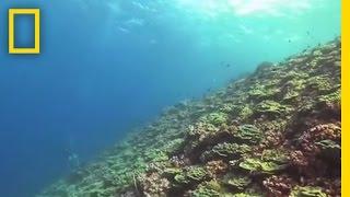 Flint Island's Coral Reefs | National Geographic