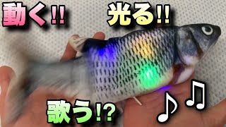 動いて光って歌う魚のおもちゃが面白すぎたwww