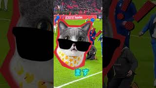 この観客が突然フィールドに飛び出し、サッカー選手に向かって走り始めます。🏃‍♂️⚽