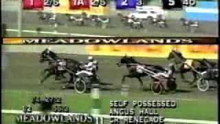 Hambletonian 1999 -Self Possessed