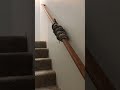 how to climb stairs when you re a python