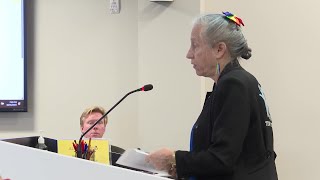 Bellevue neighbors express concerns about affordable housing development to city council