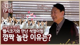 석열이형과 8코기 아빠가 반려인이 된 ‘찐’ 이유