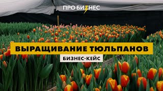 Выращивание тюльпанов. Бизнес-Кейс