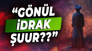 Varlığında, Özel Biri Olduğunu Hatırla! | Gönül, İdrak ve Şuur Kavramları Ne Demek?