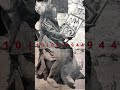 Δίστομο 80 χρόνια μετά την σφαγή 80years 1944 shorts