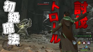 【解説】初級魔法のみでトロールをボコボコにする方法【ホグワーツレガシー】