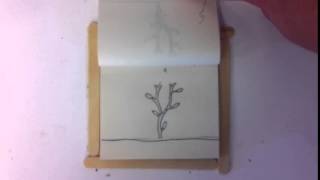 St Joseph's - Flipbooks - The Life of a Tree