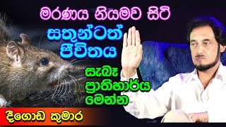 මාරයා පරාජය කළ අපූරු වීඩියෝව... | Deegoda Kumara