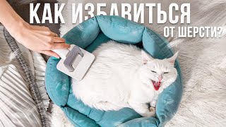 СОФА ОПЯТЬ ВСЕ ЗАШЕРСТИЛА 🙀 ОБЗОР ПЫЛЕСОСА ДЛЯ ГРУМИНГА ДОМАШНИХ ЖИВОТНЫХ GENIO Pet i50