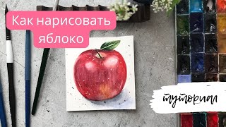 Как нарисовать яблоко акварелью / Урок для новичков