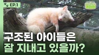 동물원이 통째로 이사했다!?🏡ㅣ웰컴투네이처ㅣEP.1